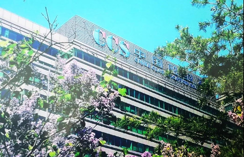 船級社認證軸的螺旋槳是如何驅動船舶航行的？