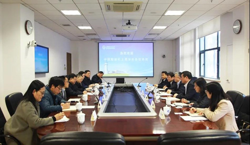 1617694072487192.jpg 542.jpg